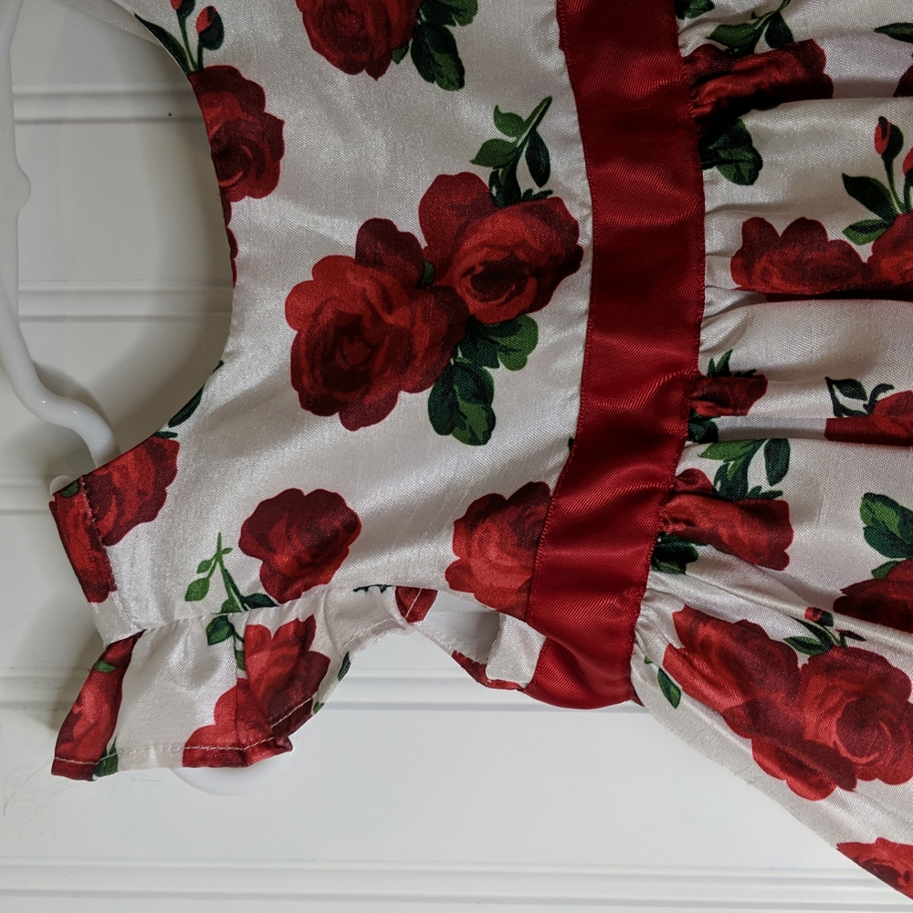 Gymboree Formal Red Roses Dress - Picture 2 of 6